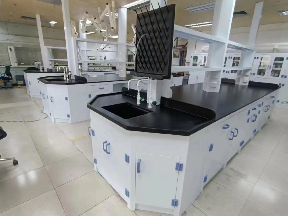 江陰某化工公司定制PP實驗室家具一批